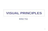 Visual principles edu711