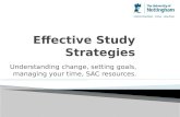 Effective study strategies
