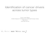 Identification of cancer drivers across tumor types