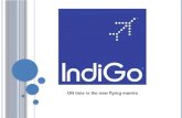 Indigo Airlines overview