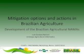 Barioni Mitigation options and actions in Brazil agriculture july 2012