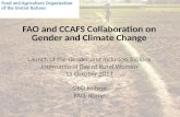 FAO-CCAFS Gender and Climate Change Collaboration by Sibyl Nelson, FAO