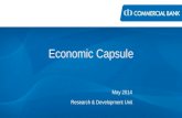 Economic Capsule - May 2014