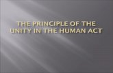 My Principle Of The Unity In The Human Act