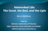 Networked for Life by Barry Wellman (NetLab) at mesh14