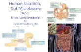 Human nutrition, gut microbiome and immune system