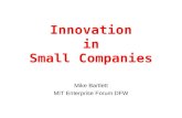 Innovation in Small Companies