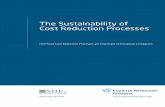 The sustainability of the cost reduction process
