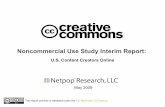 Noncommercial Use Study Interim Report