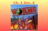 6th Grade Ch. 1 Sec. 4 Worms