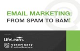 Email Marketing: From Spam to Bam!