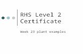 Week 23 plant examples