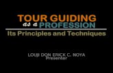 Tour Guiding as a Profession