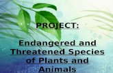 Endangered and Threatened Plants and Animals
