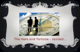 New Hare and Tortoise Story