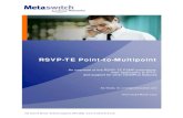 RSVP-TE Point-to-Multipoint