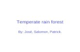 4th Period Temperate Rain Forest