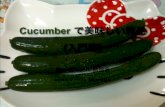How to eat Cucmber