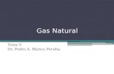 DERECHO DE LA ENERGÍA - TEMA V - EL GAS NATURAL