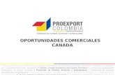 OPORTUNIDADES COMERCIALES CANADA. Descripción de Mercado Canadiense Relación Comercial Colombia - Canadá Oportunidades y Tendencias comerciales en Canadá.