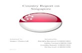 Singapore country report