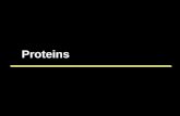 Molbiol 2011-10-proteins