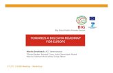 Towards a big data roadmap for europe