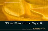 Pandox Anual Report 2009 (Eng)