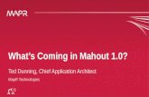 Possible Visions for Mahout 1.0