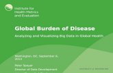 Global Burden of Disease: Analyzing and visualizing big data in global health