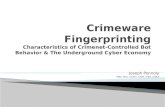 Crimeware Fingerprinting  Final