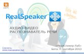 Презентация РеалСпикер - 19 февраля 2014
