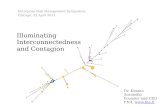 Illuminating Interconnectedness and Contagion