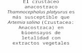 El crustáceo anacostraco Thamnocephalus platyurus es más susceptible que Artemia salina (Crustacea: Anacostraca) en bioensayos de letalidad con extractos.