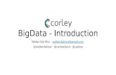 Big data, just an introduction to Hadoop and Scripting Languages