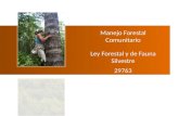 Manejo Forestal Comunitario Ley Forestal y de Fauna Silvestre 29763 Javier Martínez DAR.
