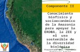 Iiap BIODAMAZ Peru - Finlandia Componente II Conocimiento biofísico y socioeconómico de la Amazonía para apoyar la ERDBA, la ZEE y el uso sostenible de.