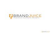 BrandJuice Overview 2013