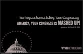 America, your congress is Mashed UP!