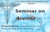 Seminar anemia ppt