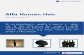 Alfa human-hair