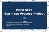 Business Process Improvement plan - SQL