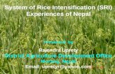 0865 System of Rice Intensification (SRI): Experiences of Nepal