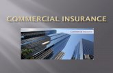Local Commercial Insurance Company in Houston Area