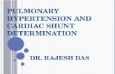 Pulmonary hypertension with cardiac shunt determination