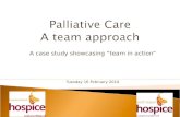 Palliative Care   A Team Approach Final