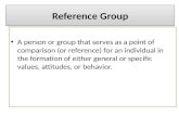 Factors that affect reference group influence