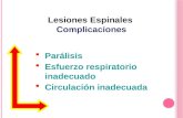 Parálisis Esfuerzo respiratorio inadecuado Circulación inadecuada Lesiones Espinales Complicaciones.