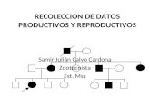 RECOLECCION DE DATOS PRODUCTIVOS Y REPRODUCTIVOS Samir Julián Calvo Cardona Zootecnista Est. Msc.
