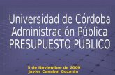 Presupuesto público Gerardo Domínguez Giraldo 5 de Noviembre de 2009 Javier Canabal Guzmán.